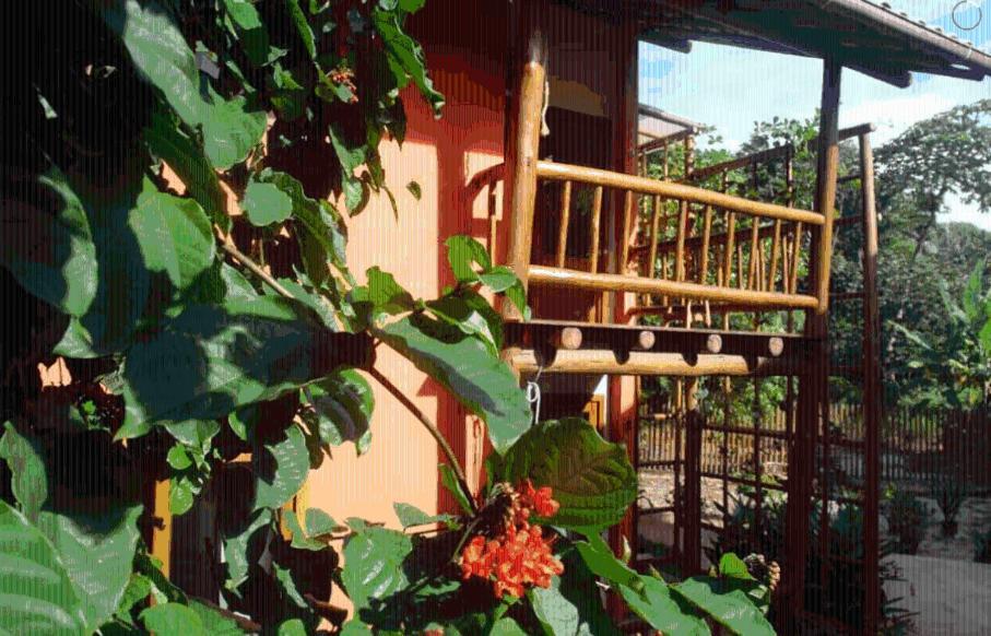 Appartamento Concha Tropical Flat Itacaré Esterno foto